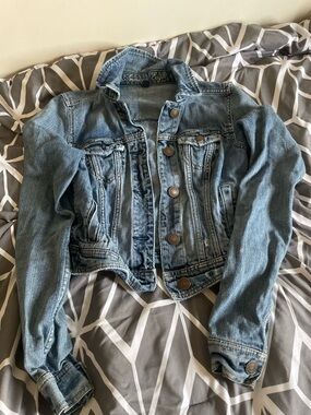 American Eagle Outfitters Light Blue Embroidered Denim Jacket